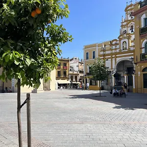 Aloja - Calle Pozo Sevilla